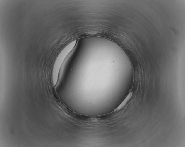 X0000115100227200911101551