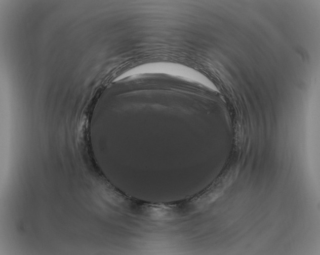 X0000115100229200911101551
