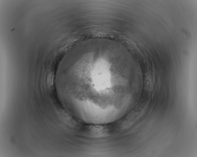 X0000115100230200911101551