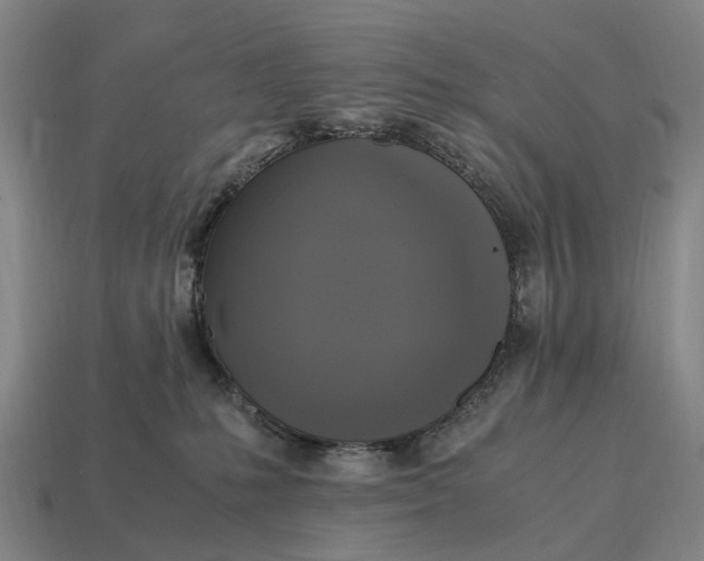 X0000115100231200911101551