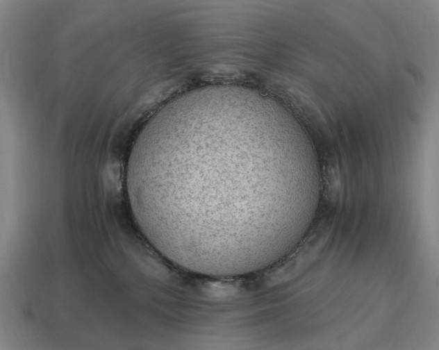 X0000115100232200911101551