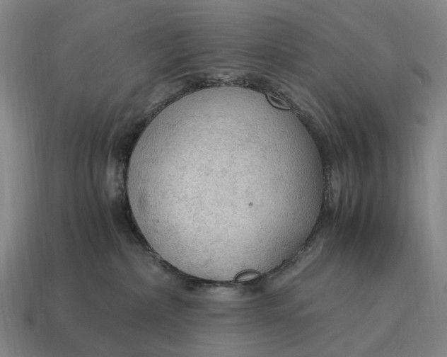 X0000115100236200911101551