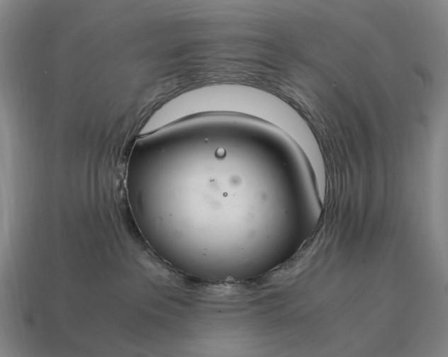 X0000115100237200911101551