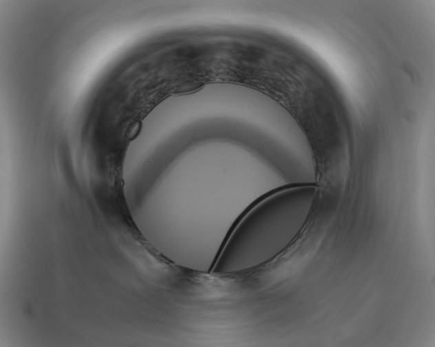 X0000115100239200911101551