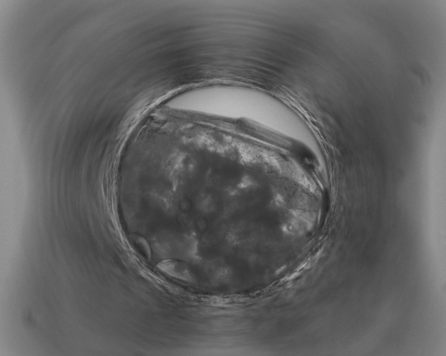 X0000115100241200911101550