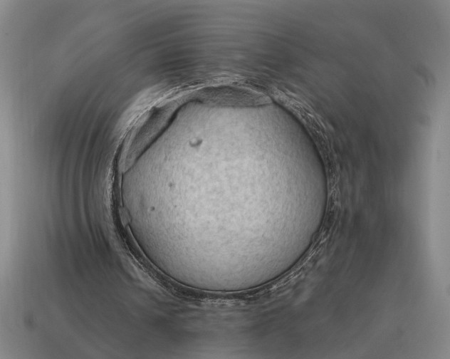 X0000115100242200911101550