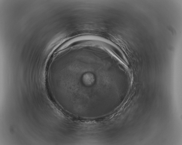 X0000115100243200911101550
