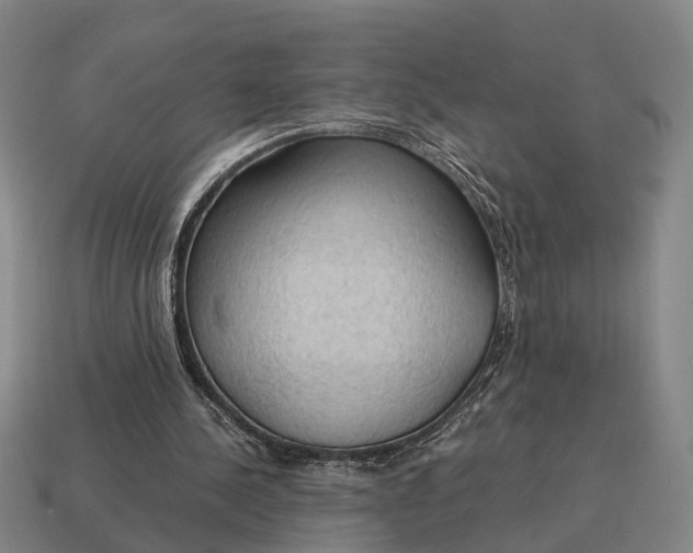 X0000115100244200911101550