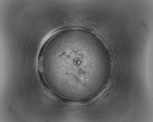 X0000115100246200911101550