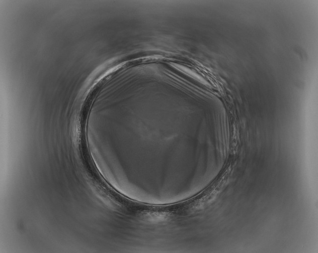X0000115100247200911101550
