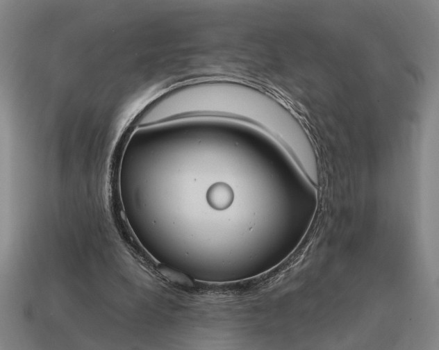 X0000115100248200911101550