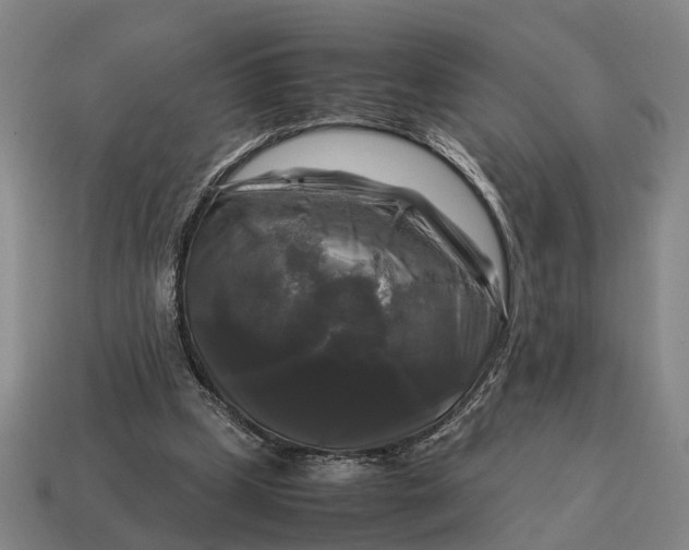 X0000115100249200911101550