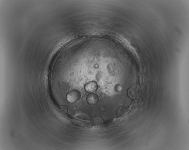 X0000115100250200911101550