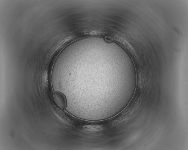 X0000115100251200911101550