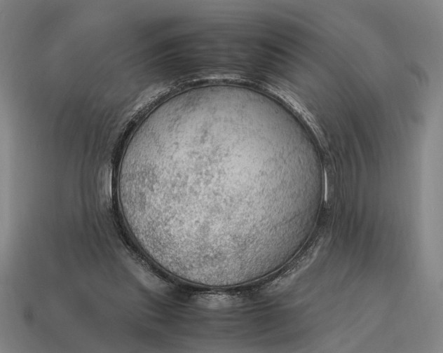 X0000115100253200911101550