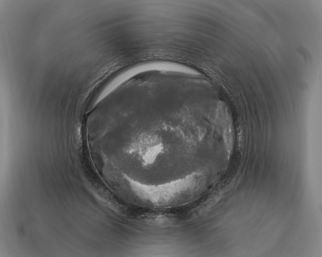 X0000115100254200911101550