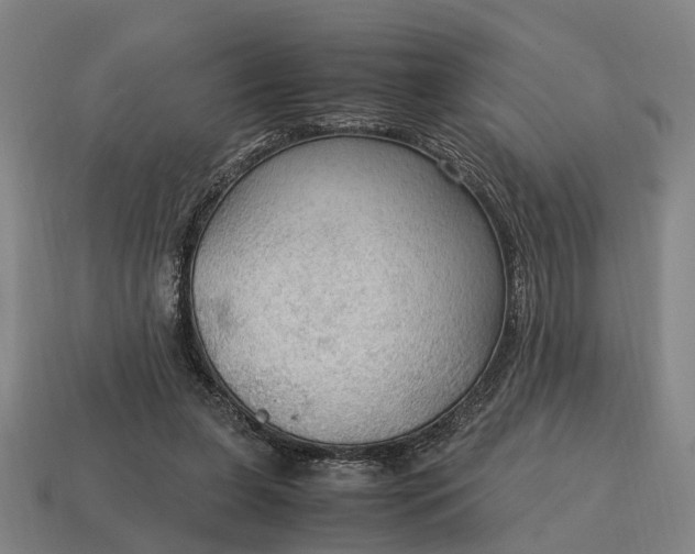 X0000115100255200911101550