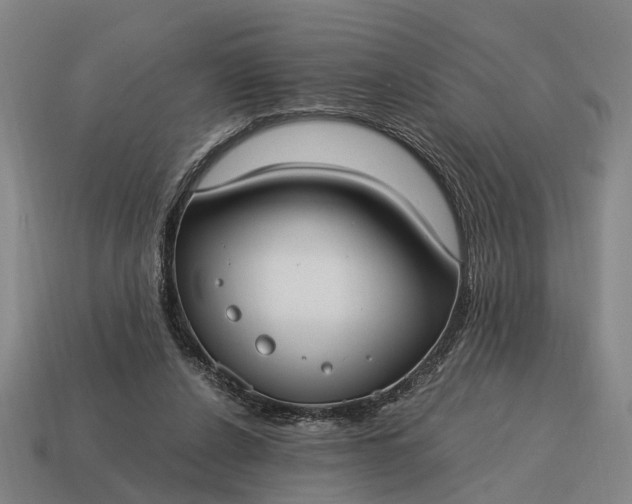 X0000115100256200911101550