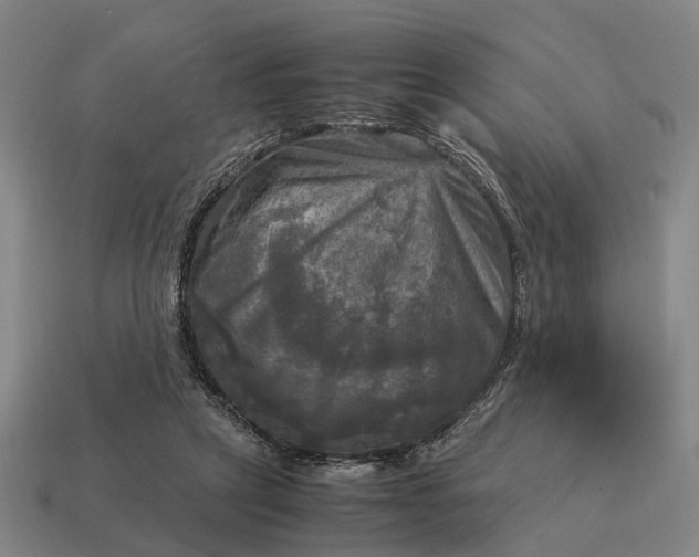 X0000115100257200911101550