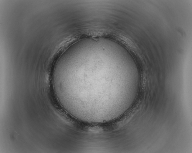 X0000115100258200911101550