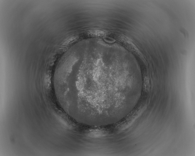 X0000115100259200911101550