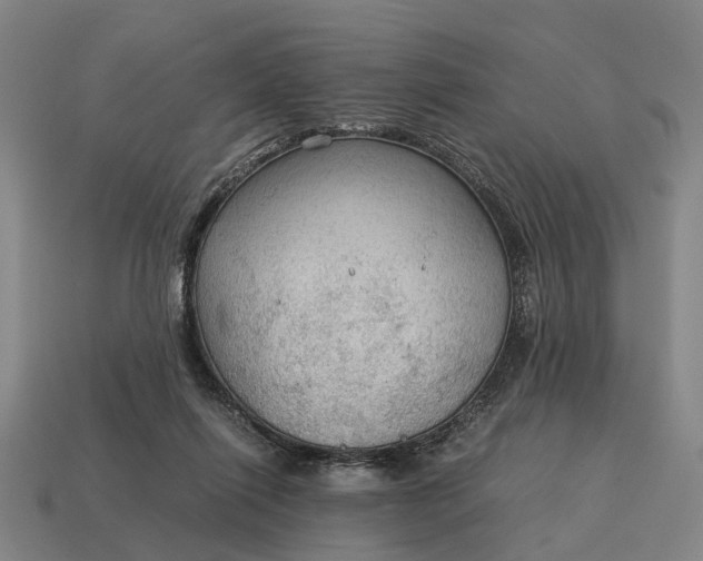 X0000115100262200911101550
