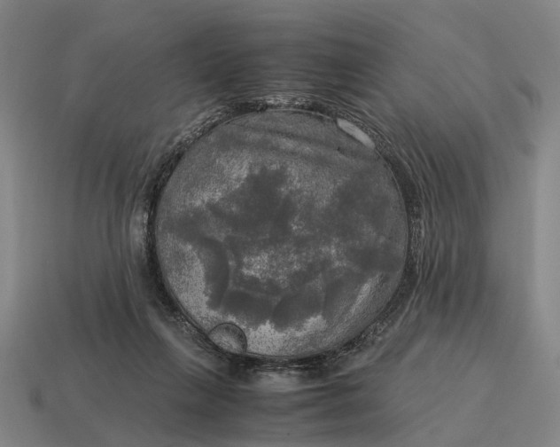 X0000115100263200911101550