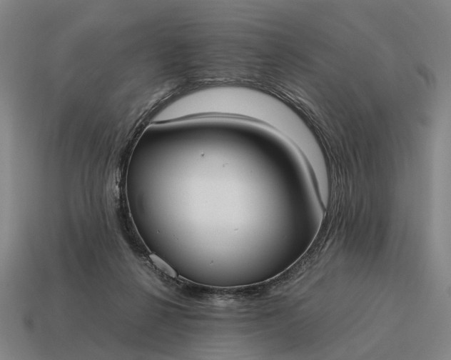 X0000115100264200911101550