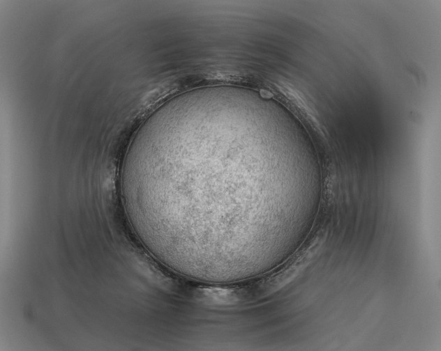 X0000115100265200911101550