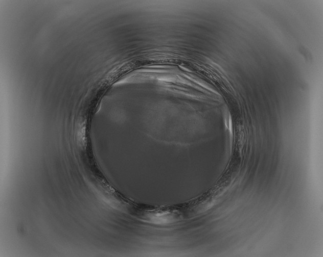 X0000115100267200911101551