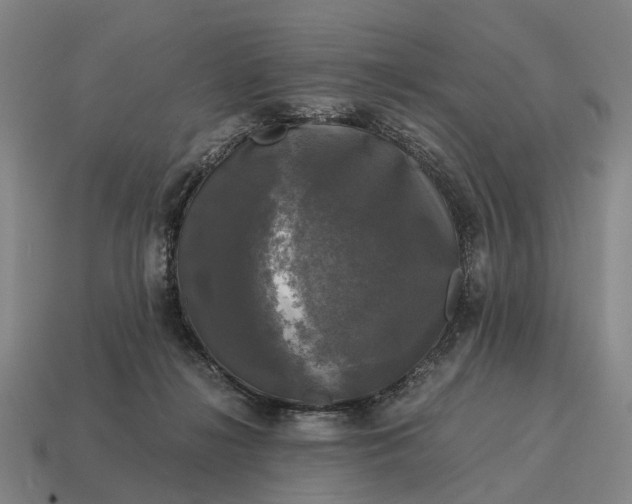 X0000115100268200911101551