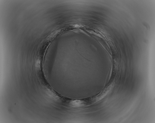 X0000115100269200911101551