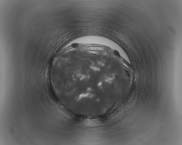 X0000115100270200911101551