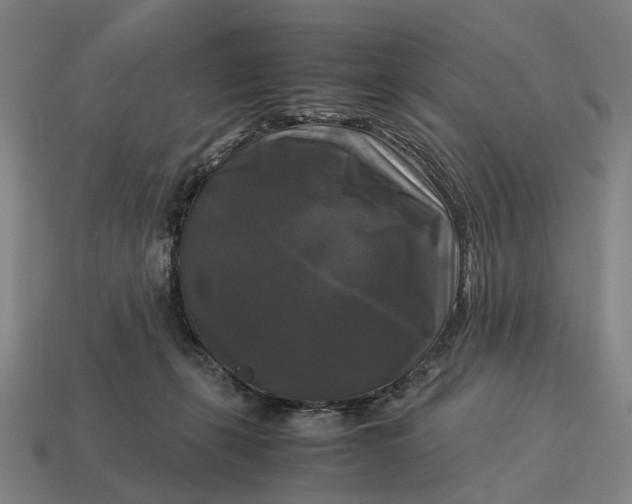 X0000115100271200911101551
