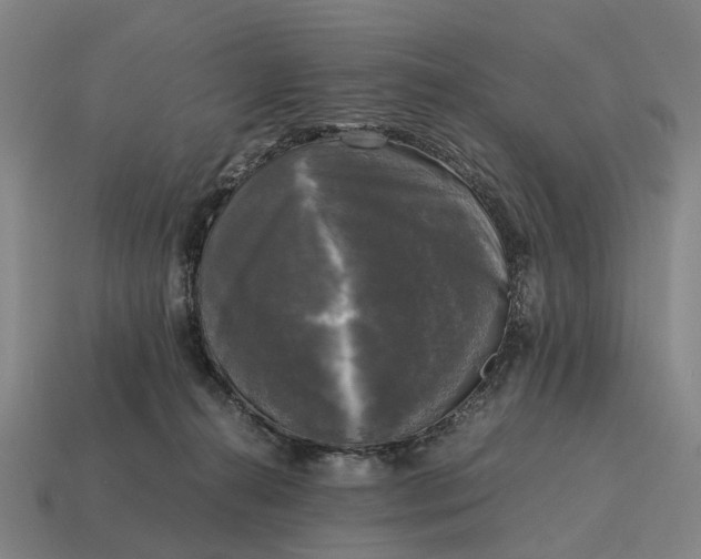 X0000115100272200911101551