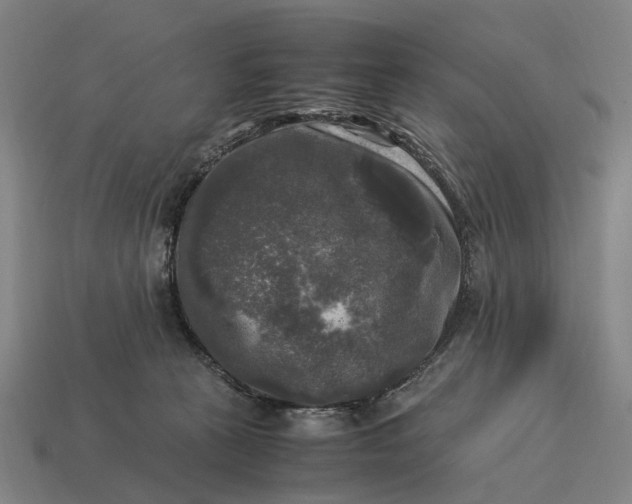 X0000115100273200911101551