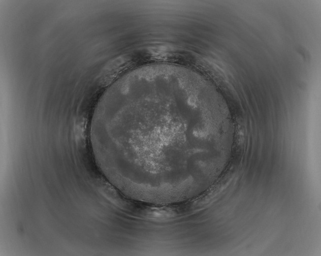 X0000115100275200911101551