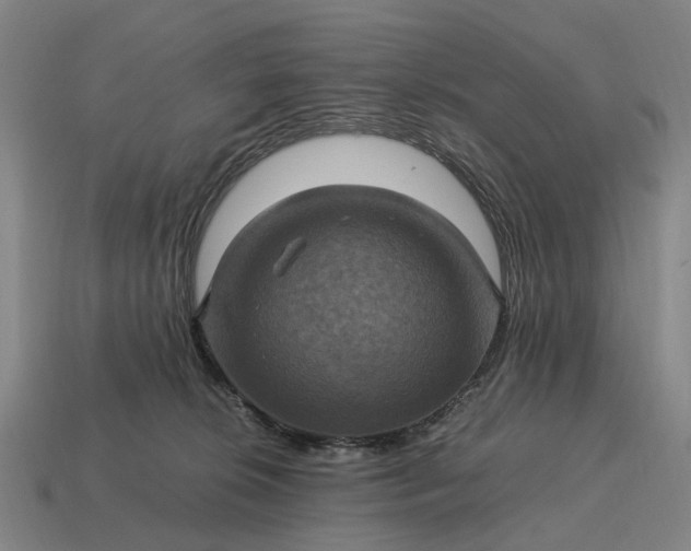 X0000115100276200911101551