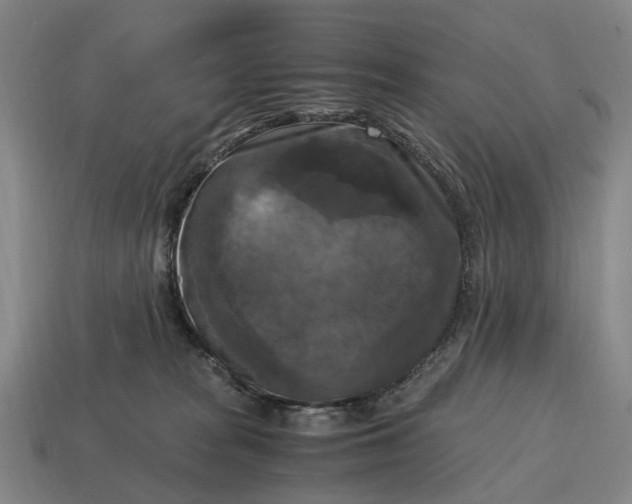 X0000115100277200911101551