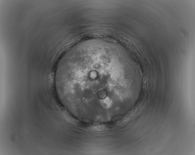 X0000115100278200911101551