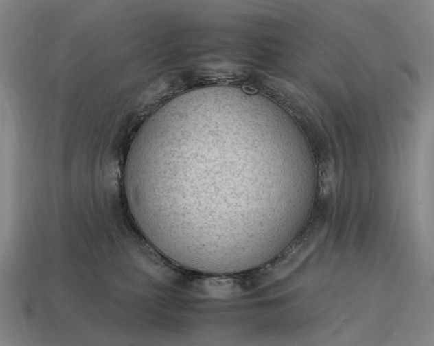 X0000115100279200911101551