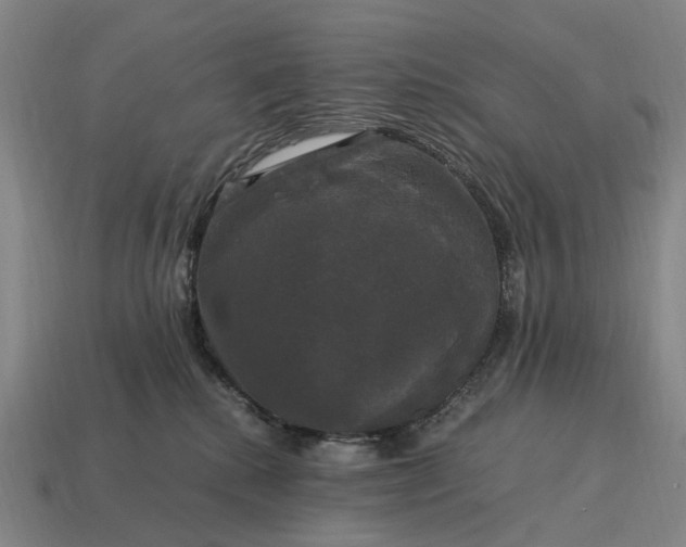 X0000115100280200911101551