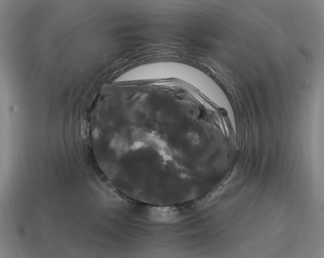 X0000115100281200911101551