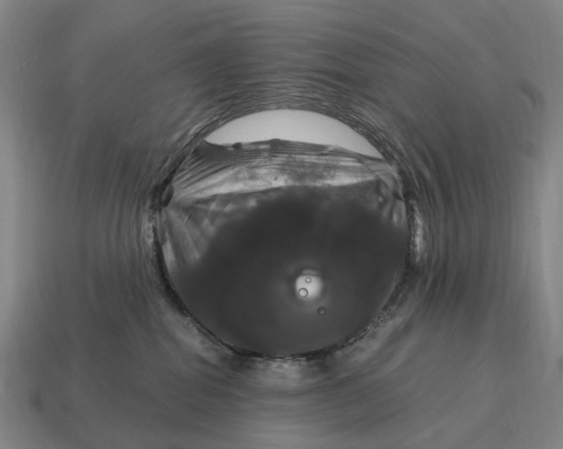 X0000115100282200911101551