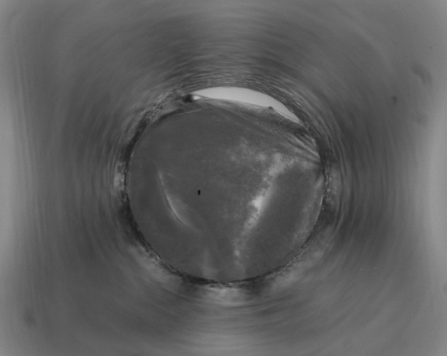 X0000115100284200911101551