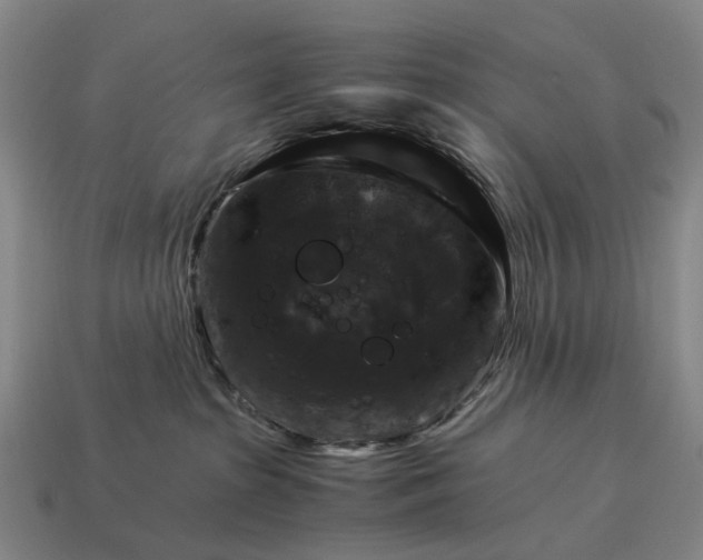 X0000115100285200911101551