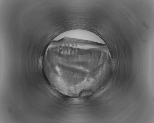 X0000115100286200911101551