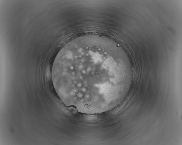 X0000115100287200911101551