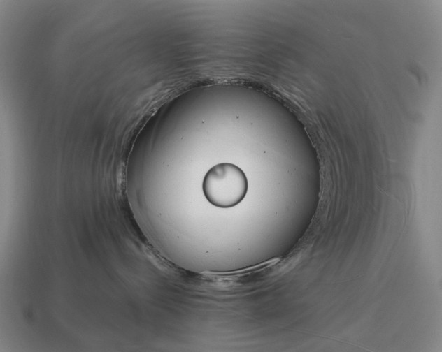 X0000115100288200911101551