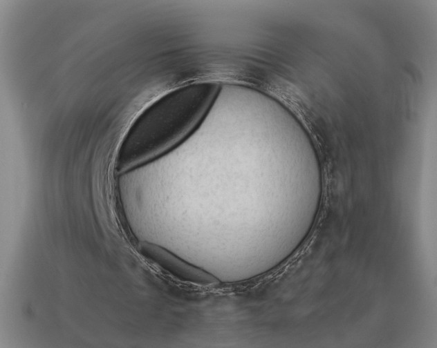 X0000115100289200911101550
